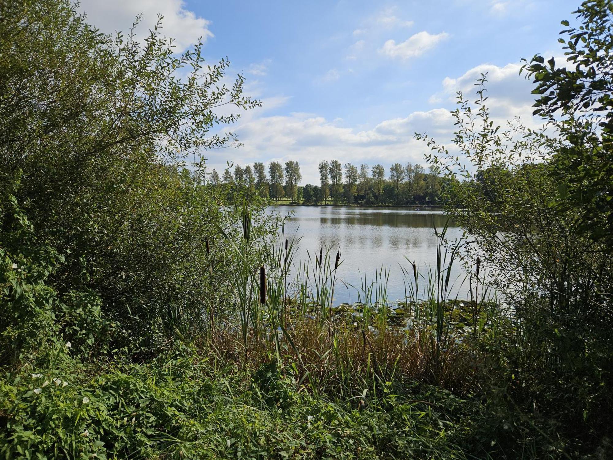 Gemuetliche Im Westerwald - 
