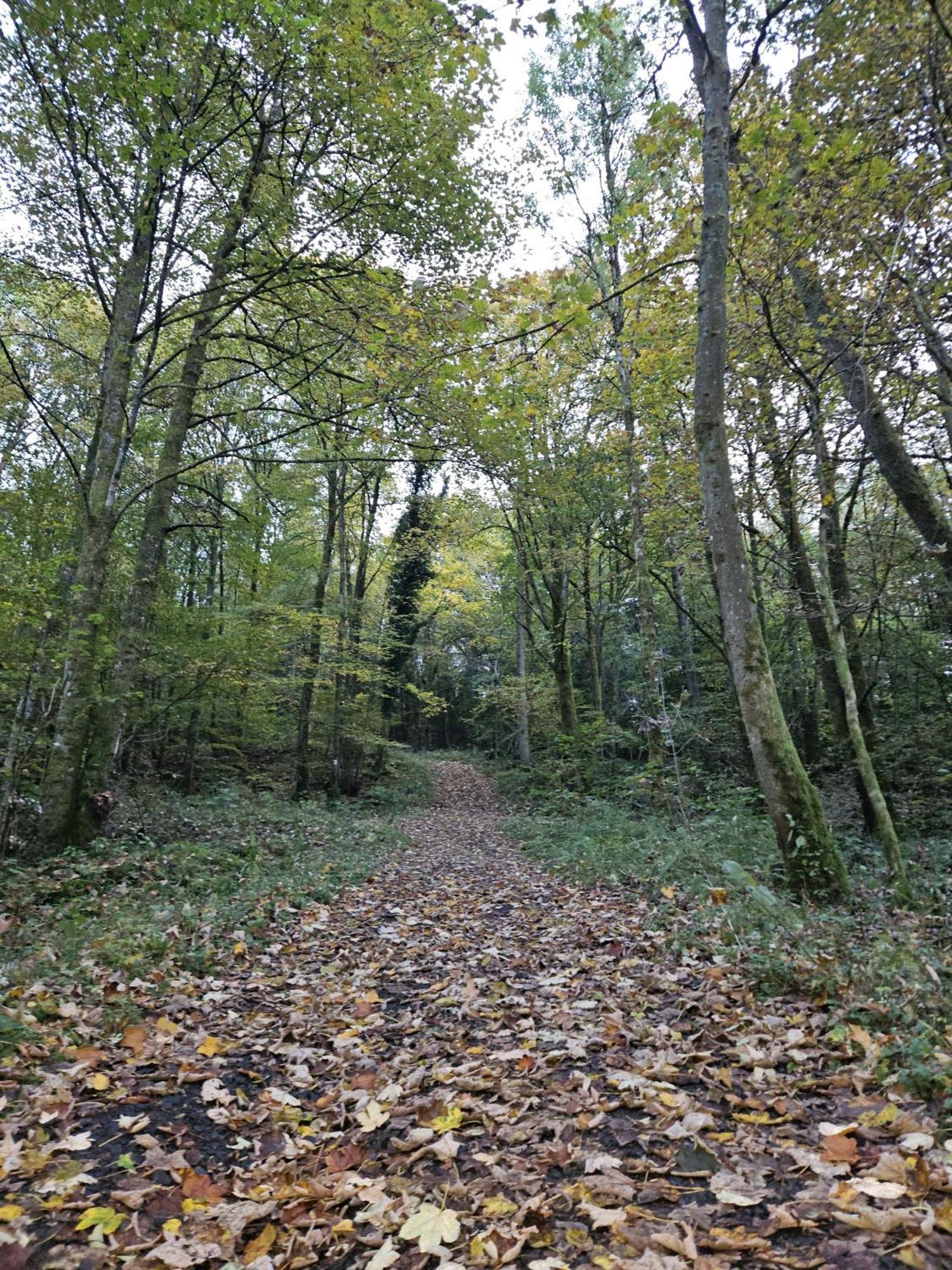 Gemuetliche Im Westerwald - 