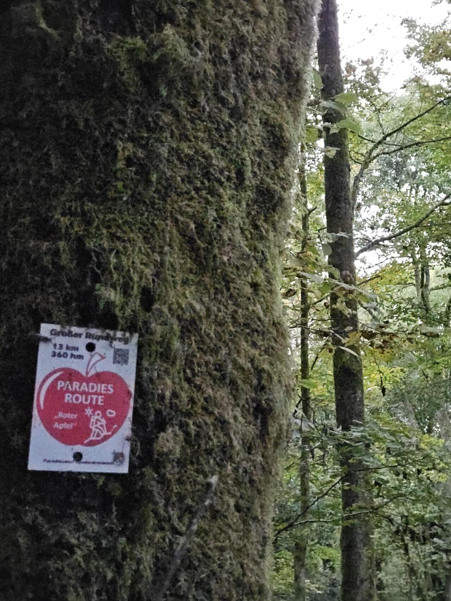 Gemuetliche Im Westerwald - 